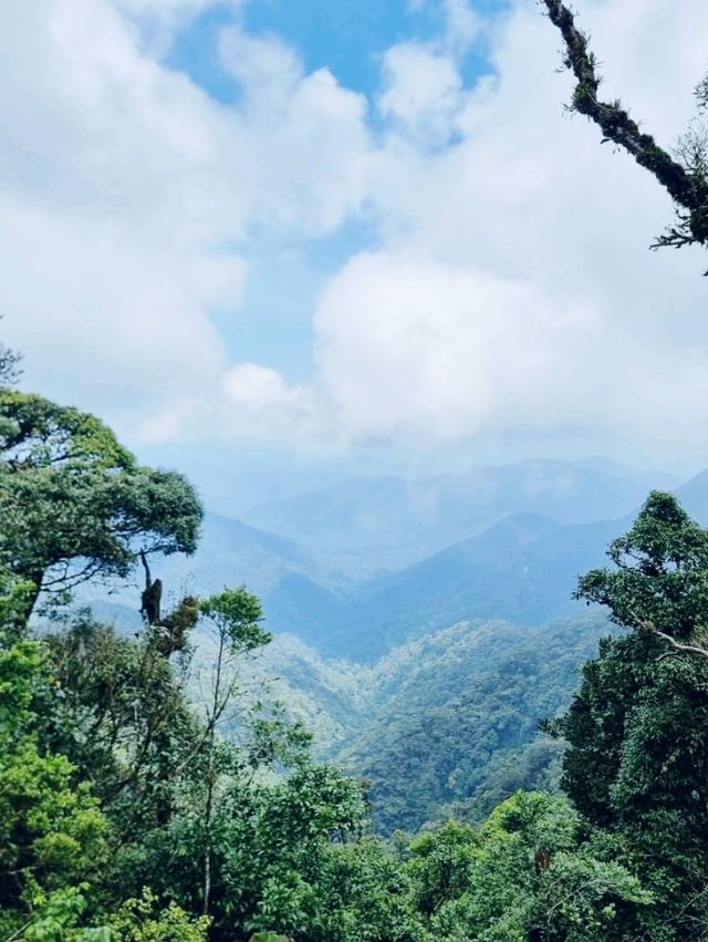 Hutan Kita Khazanah Kita 🌳