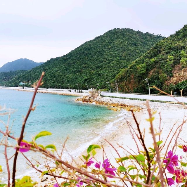 楊梅坑海岸步道•鹿嘴山莊海蝕崖