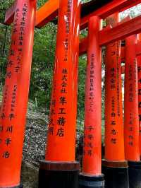 Explore Fushimi Inari Taisha Shrine ⛩️