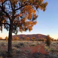 Red Rock Revelation: Uluru's Majestic Splendor