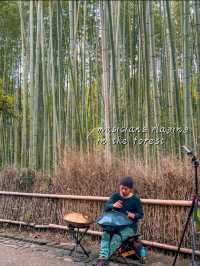 Arashiyama Bamboo Forest in Kyoto, Japan🎋🇯🇵