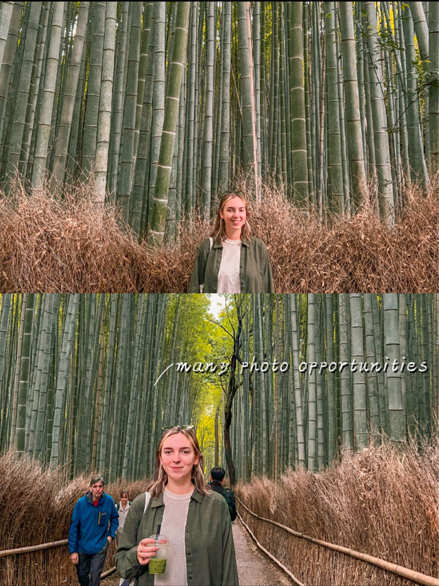 Arashiyama Bamboo Forest in Kyoto, Japan🎋🇯🇵