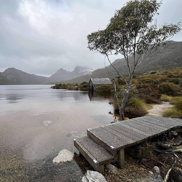 Wild Tasmania: A Journey of Untamed Beauty 