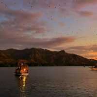 Watch as 300,000 Flying Foxes Cruise Overhead 