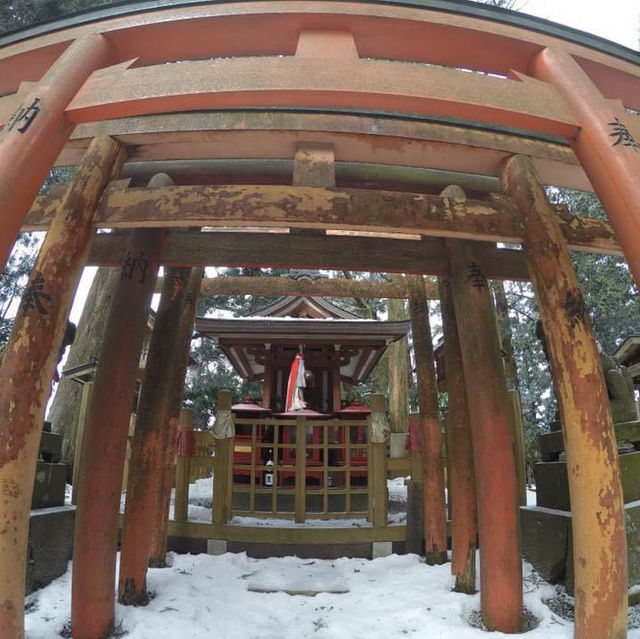 Experience Spiritual Camping at Koyasan