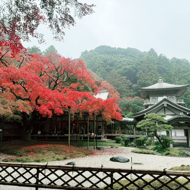 Beauty in the drizzle - Itoshima day trip 