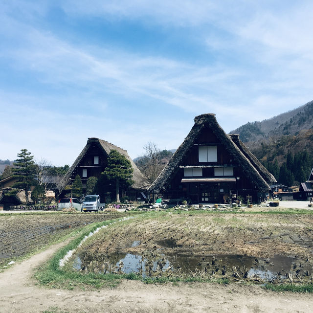 หมู่บ้านชิราคาวาโกะ ในฤดูใบไม่ผลิ