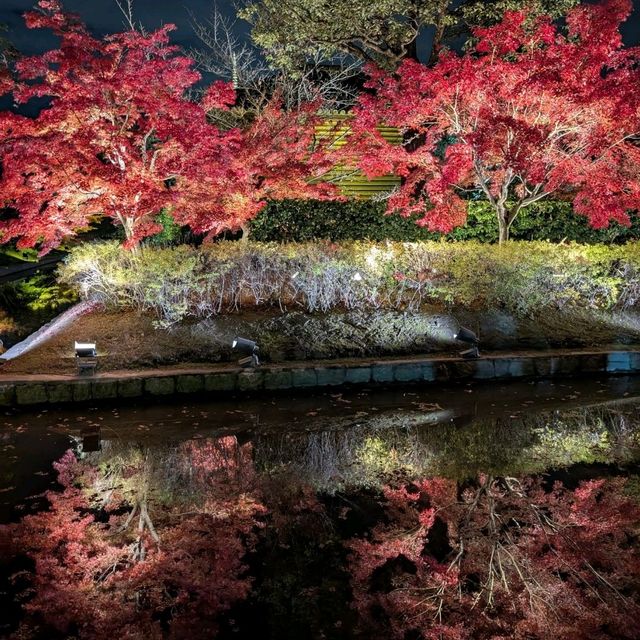 🇯🇵京都「東寺」 倒影如畫的夜楓🍁之旅！