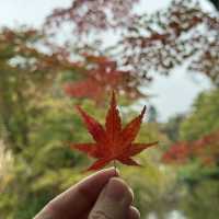 Karuizawa- Vibrant Nature meets Serene Luxury