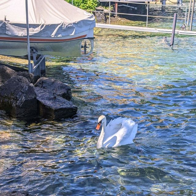 南阿爾卑斯山著名的度假勝地：盧加諾湖 Lake Lugano