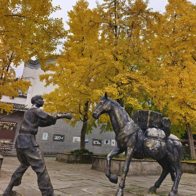 Xinchang Ancient Town (新场古镇) เมืองเก่าเล็กๆ