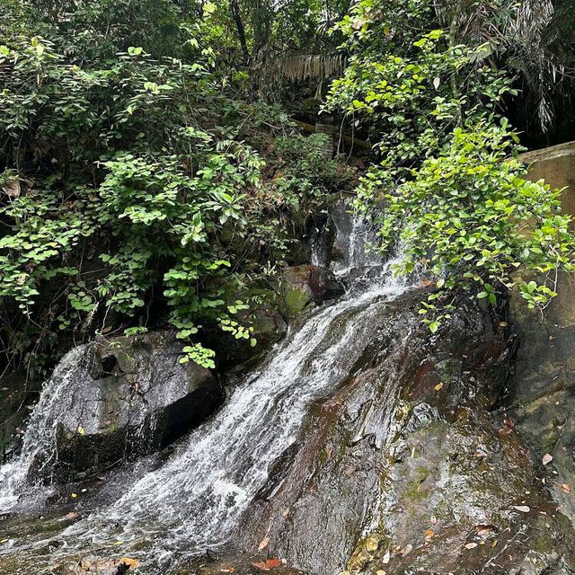 Gaharu Tea Valley