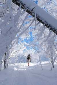 雪谷太美了，下次不會來了