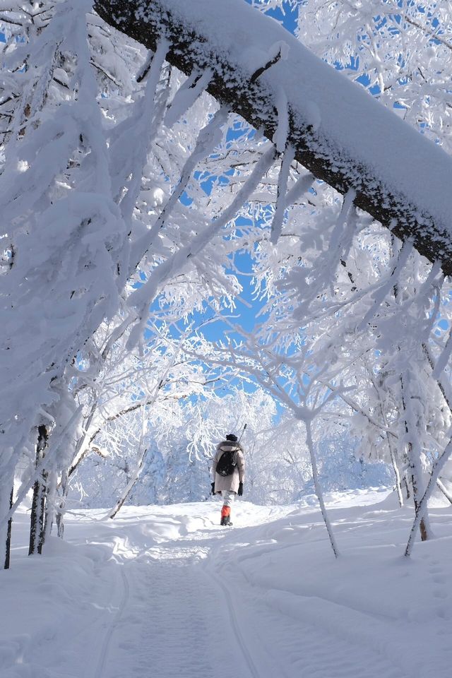 雪谷太美了，下次不會來了