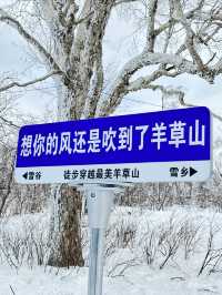 不是雪鄉住不起，而是雪谷更有性價比