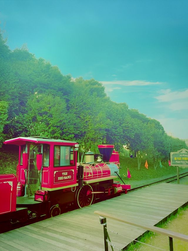 濟州島森林小火車|萌娃的童話森林樂園