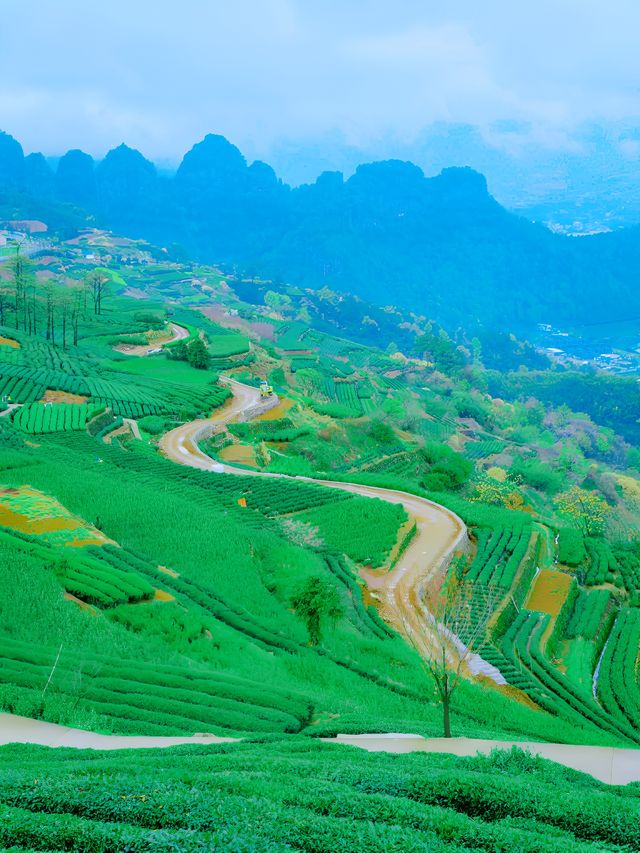 江浙戶外天堂，被十九座山包圍的懸崖古村落，美到窒息！