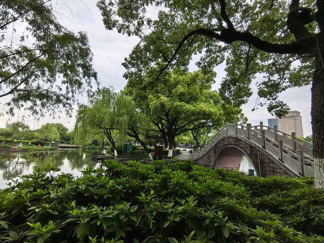 被譽為寧波“小西湖”的月湖公園