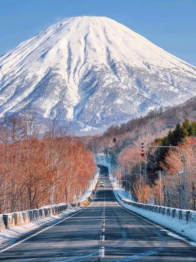 北海道秋季紅葉奇景 — 探索日本賞紅葉季的絕美勝地。