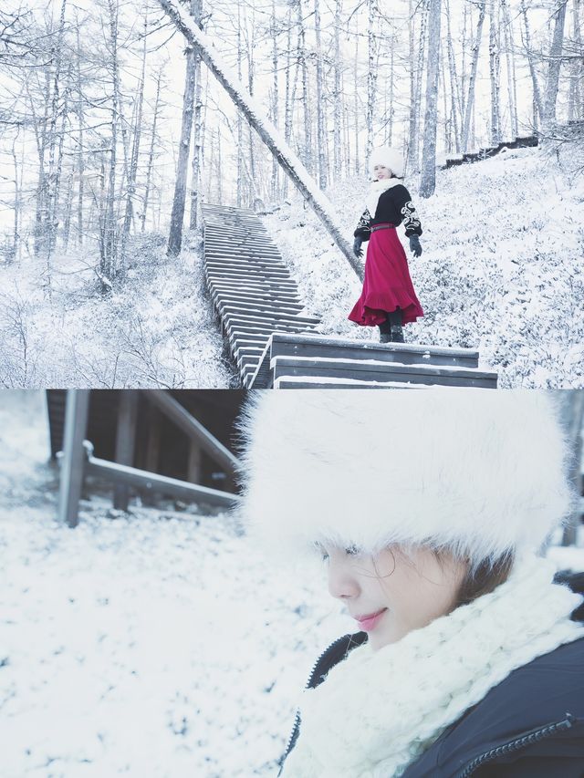 今天冬天，我們再去呼倫貝爾看雪吧！