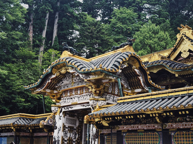 Explore Nikko's Hidden Gem: Toshogu Shrine