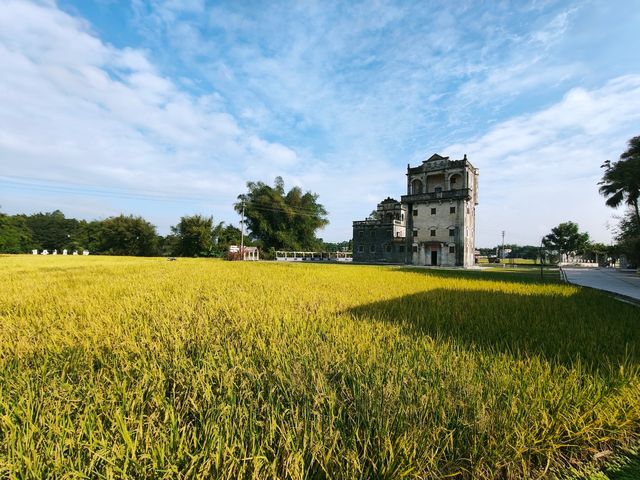 僑鄉故事民宿11月免費活動。