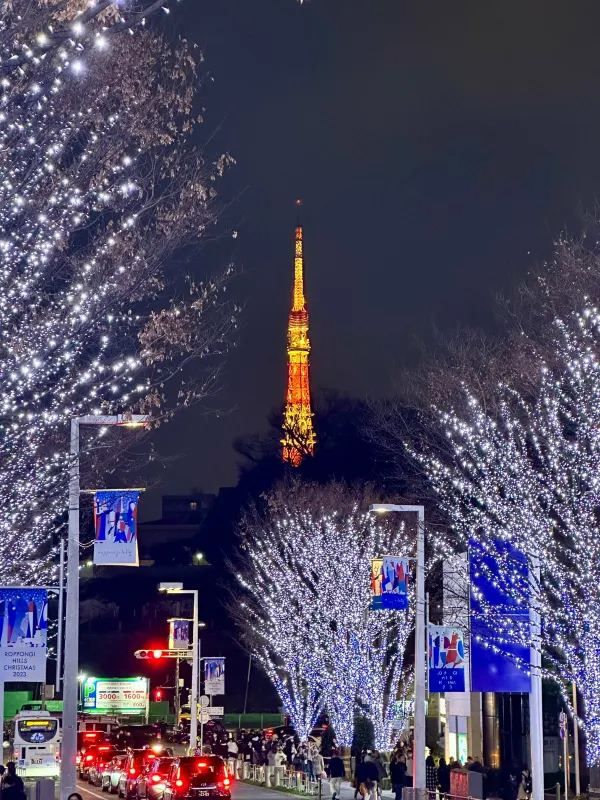 Avoid Taking Photos on Sidewalks During Japan's Christmas Light Displays