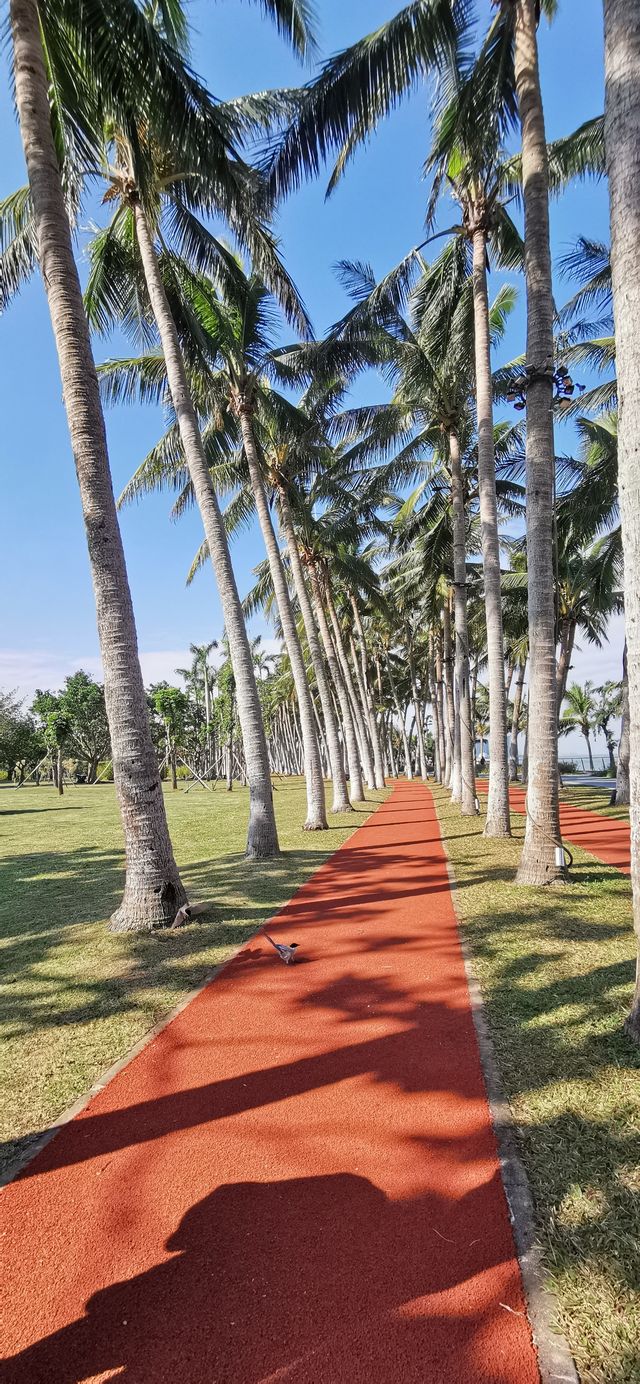 藍天白雲映照下的生態園林公園——萬綠園