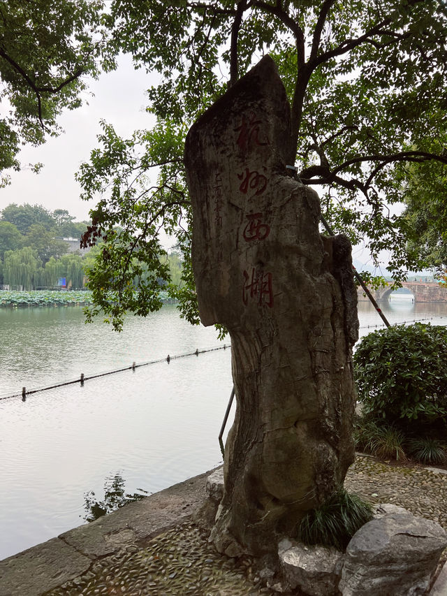 反向旅遊｜這個冬天就去打卡杭州吧，很美的～