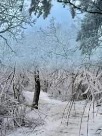 冰雪仙境中徒步，江浙滬賞雪不容錯過