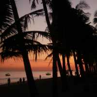 Bohol: Nature’s Paradise in the Philippines