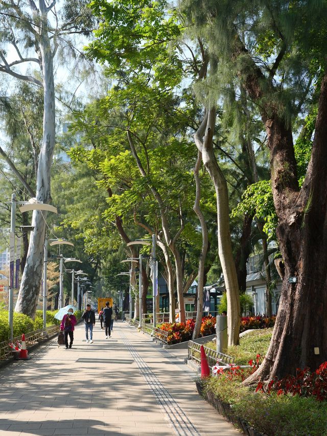 香港｜維多利亞公園慢時光