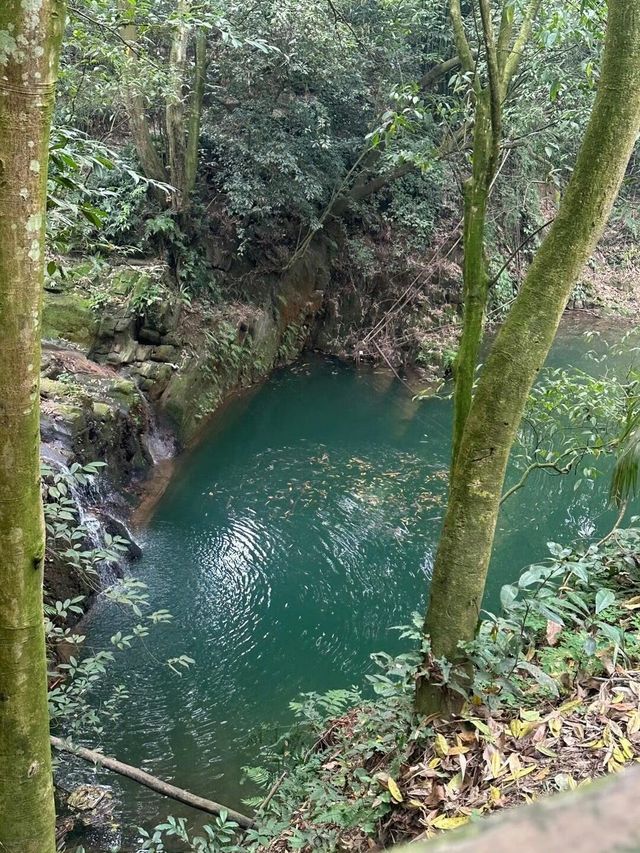 崇州鳳棲山行山攻略