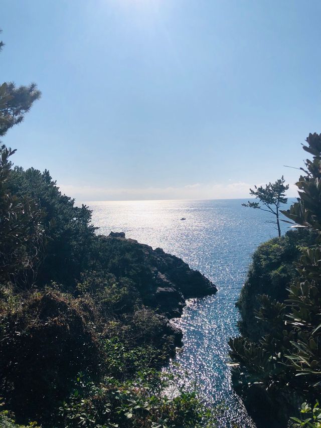 🇰🇷韓國濟洲風景🌳🪨將軍石