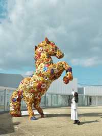 【青森】十和田市の見応え抜群の美術館