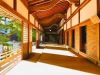 Japan’s sacred Mount Koya 🇯🇵