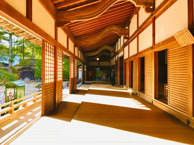 Japan’s sacred Mount Koya 🇯🇵