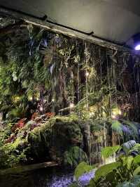 🇸🇬 Cloud Forest at Gardens by the Bay