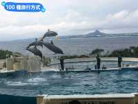 沖繩親子旅行好去處：亞州最大的美麗海水族館