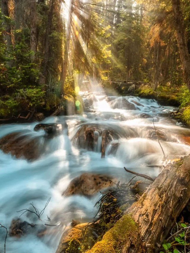 Chasing Waterfalls in Banff National Park