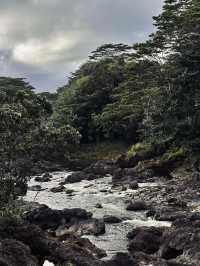 Akaka Falls: Hawaii’s Majestic Waterfall Wonder