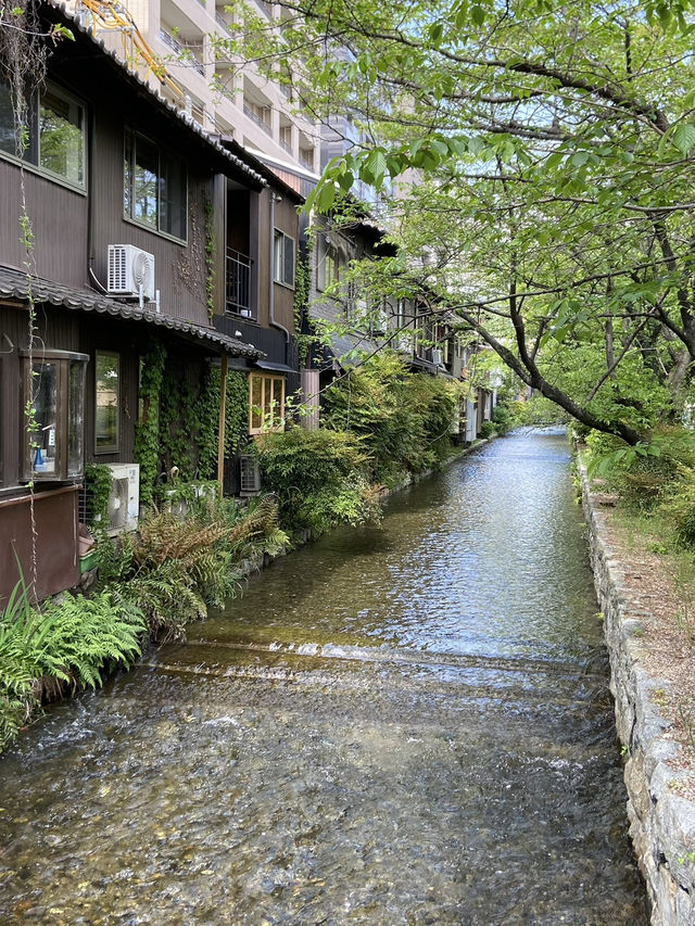 Gion District: Kyoto’s Timeless Beauty