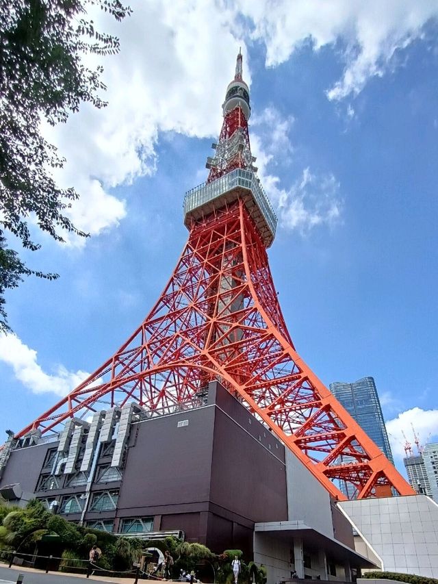 Reach New Heights: Unforgettable Views from Tokyo Tower