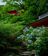 探索熊野秘境三大神社打卡攻略