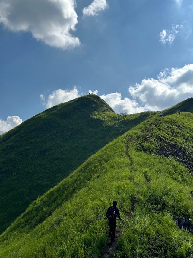 大學生特種兵天等劍龍山