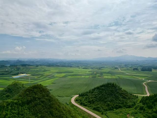 羅平金雞峰叢