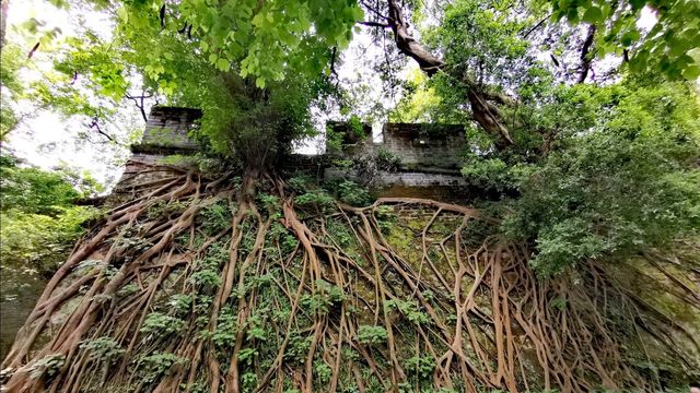 五羊石雕，廣州的標誌性景點——越秀公園。