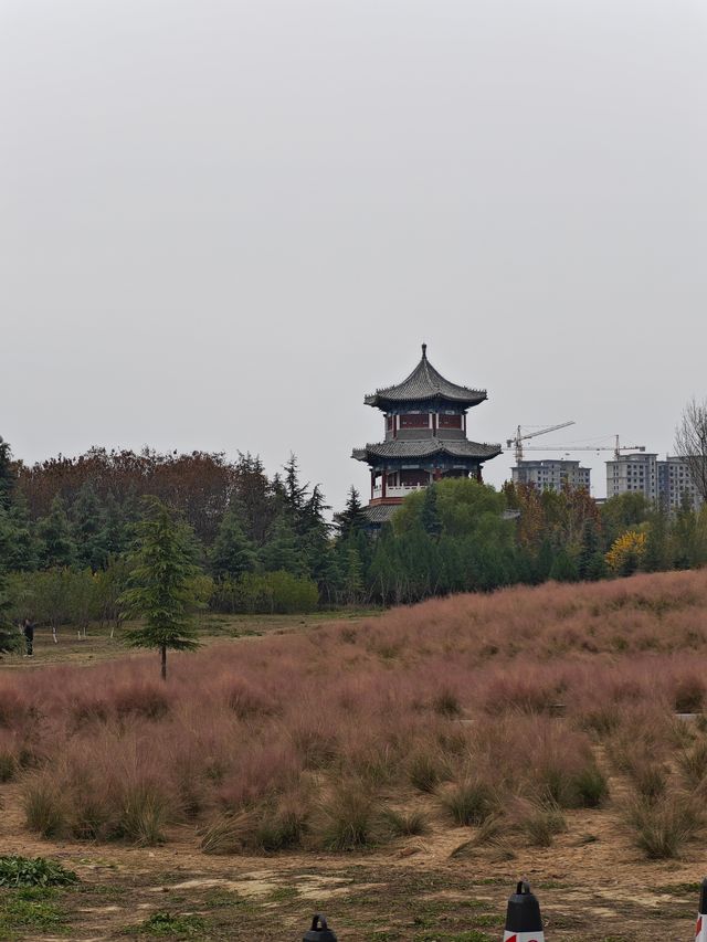 博物館的奇妙遊 - 孔子博物館