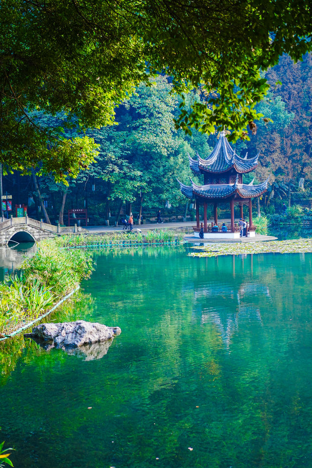 瀘州森系圖書館｜忠山公園 香樟書苑