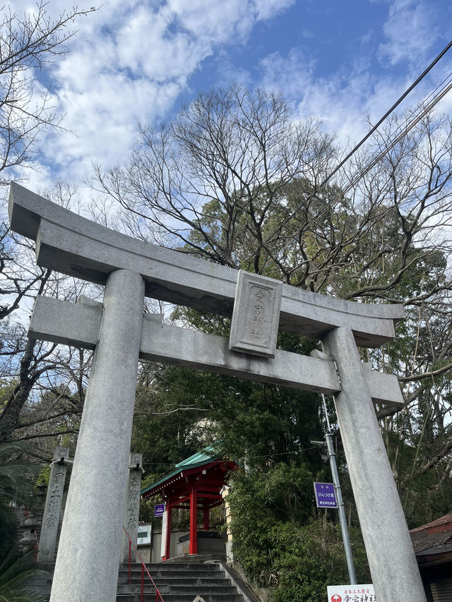 🌸愛宕神社行程🌸福冈不能错过的祈福之地